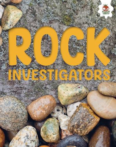 Cover image for Rock Investigators