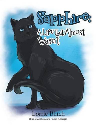 Cover image for Sapphire: A Life That Almost Wasn't