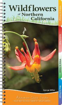 Cover image for Wildflowers of Northern California: Your Way to Easily Identify Wildflowers