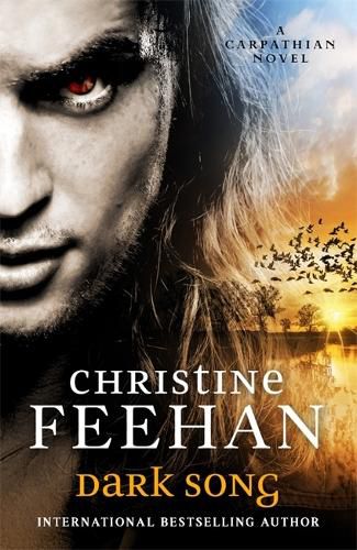 Cover image for Dark Song