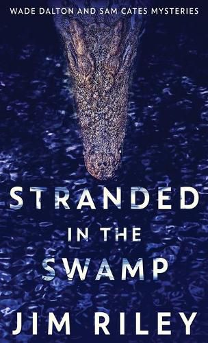 Cover image for Stranded In The Swamp