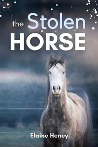 Cover image for The Stolen Horse: Book 4 in the Connemara Horse Adventure Series for Kids | The Perfect Gift for Children age 8-12