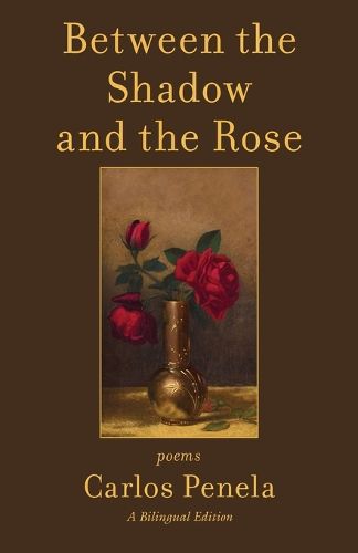 Cover image for Between the Shadow and the Rose. Selected poems 2001-2024