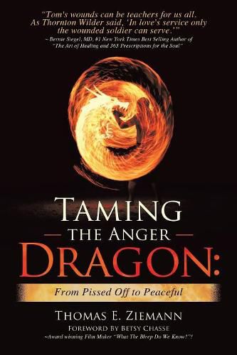 Cover image for Taming the Anger Dragon