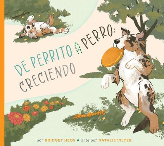 Cover image for del Cachorro Al Perro: Creciendo