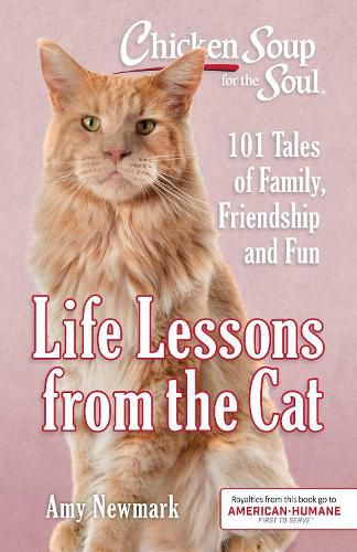 Cover image for Chicken Soup for the Soul: Life Lessons from the Cat: 101 Tales of Family, Friendship and Fun
