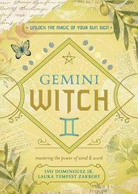 Cover image for The Gemini Witch