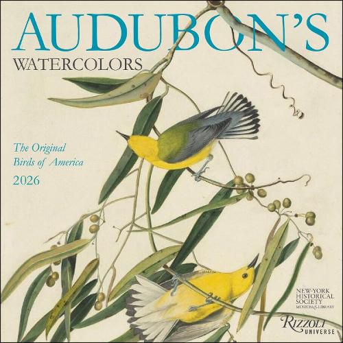 Cover image for Audubon's Watercolors 2026 Wall Calendar