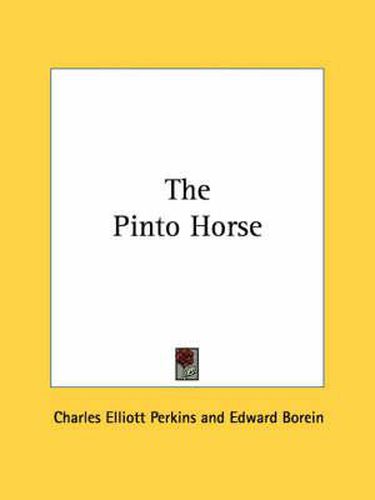 The Pinto Horse