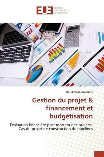 Cover image for Gestion Du Projet Financement Et Budgetisation