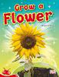 Cover image for Bug Club Level  5 - Red: Grow a Flower (Reading Level 5/F&P Level D)