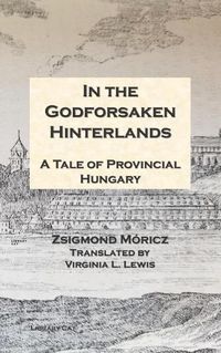 Cover image for In the Godforsaken Hinterlands: A Tale of Provincial Hungary