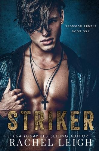 Striker: A Dark Bully Romance