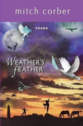 Cover image for Weather's Feather