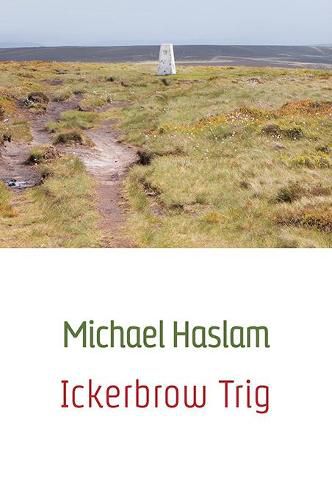 Cover image for Ickerbrow Trig