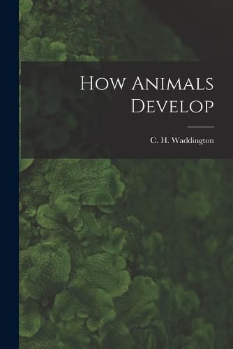 Cover image for How Animals Develop