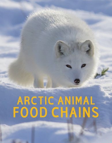 Cover image for Arctic Animal Food Chains: English Edition