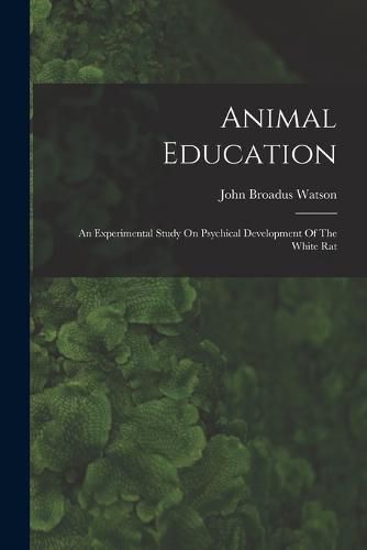 Cover image for Animal Education