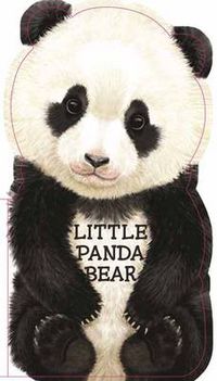 Cover image for Little Panda Bear
