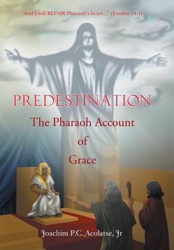 Cover image for Predestination