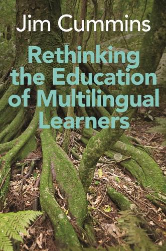 Cover image for Rethinking the Education of Multilingual Learners: A Critical Analysis of Theoretical Concepts