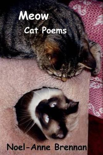 Cover image for Meow Cat Poems