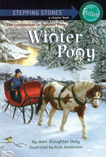 Cover image for Winter Pony