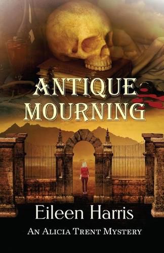 Cover image for Antique Mourning