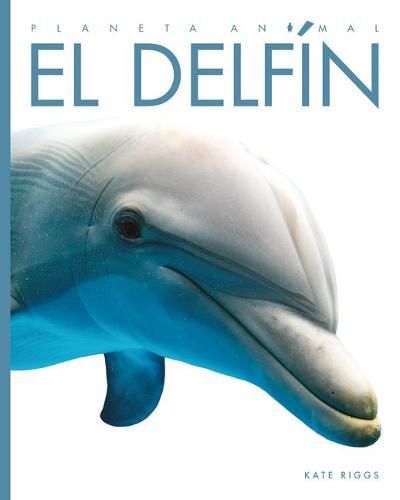 Cover image for El Delfin