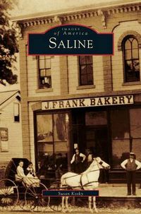 Cover image for Saline