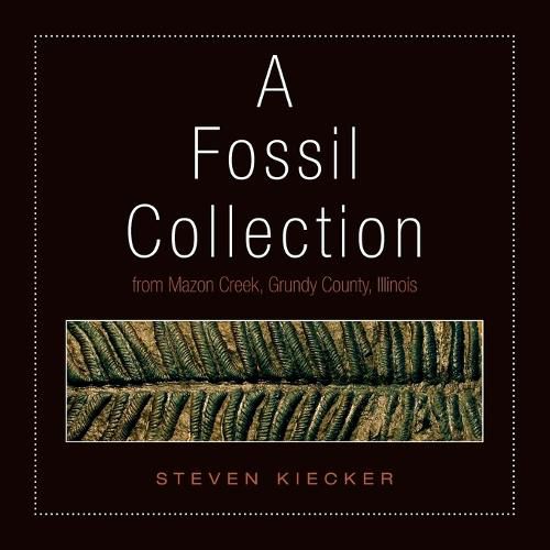 Cover image for A Fossil Collection