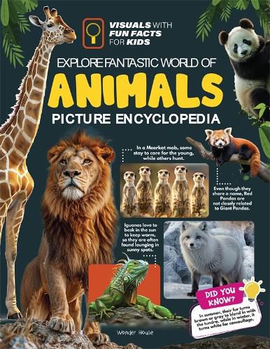 Cover image for Explore Fantastic World of Animals Picture Encyclopedia