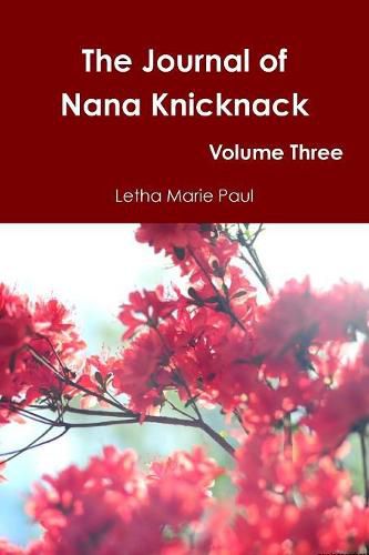 Cover image for The Journal of Nana Knicknack Volume Three