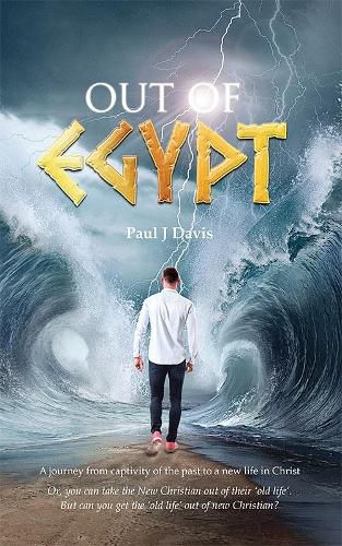 Cover image for Out of Egypt