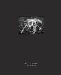 Cover image for The Animals