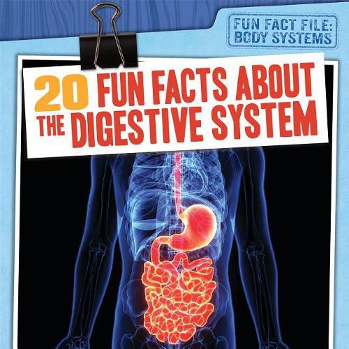 20 Fun Facts about the Digestive System