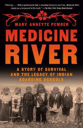 Cover image for Medicine River