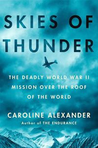 Cover image for Skies of Thunder