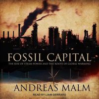 Cover image for Fossil Capital