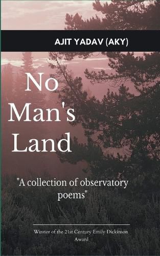 Cover image for No Man's Land (Edition1st)