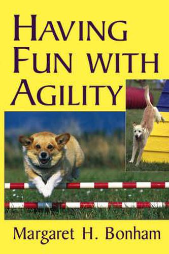 Cover image for Having Fun with Agility without Competition