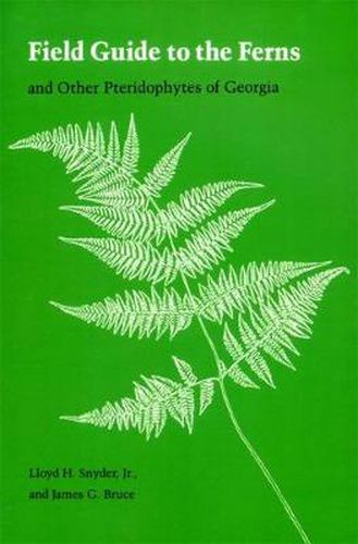 Cover image for Field Guide to the Ferns