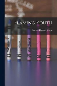 Cover image for Flaming Youth