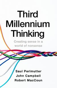 Cover image for Third Millennium Thinking