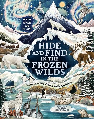 Cover image for Hide and Find in the Frozen Wilds