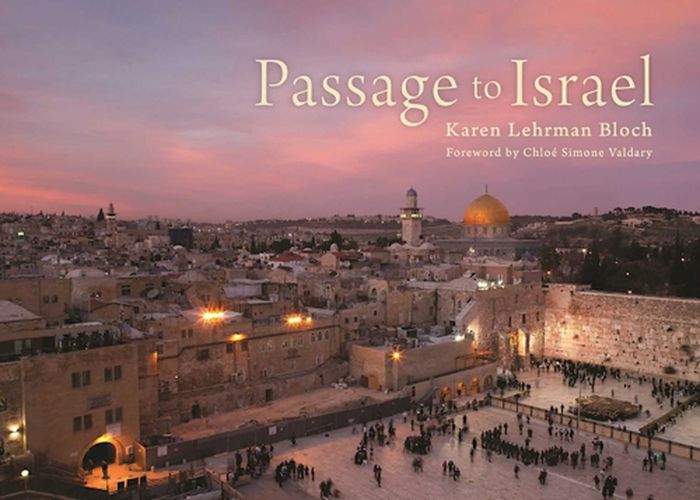 Cover image for Passage to Israel