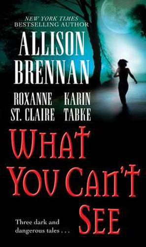 Cover image for What You Can't See
