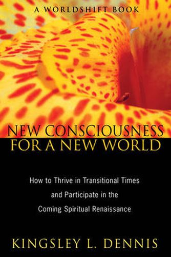 Cover image for New Consciousness for a New World: How to Thrive in Transitional Times and Participate  in the Coming Spiritual Renaissance