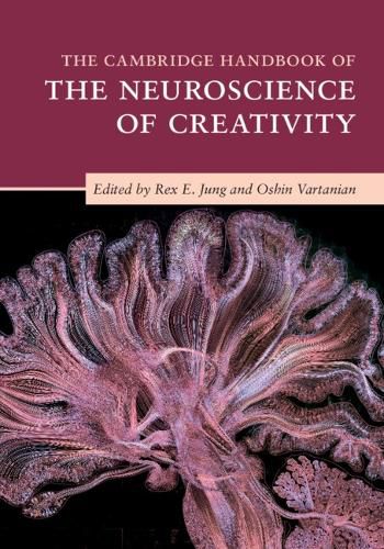 Cover image for The Cambridge Handbook of the Neuroscience of Creativity