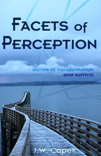 Cover image for Facets of Illusion